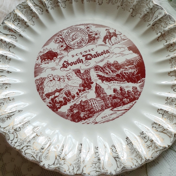 VTG Scenic South Dakota Souvenir Decorative Plate - Picture 6 of 8